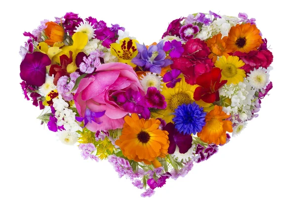 Summer flowers heart concept — Stock Photo, Image