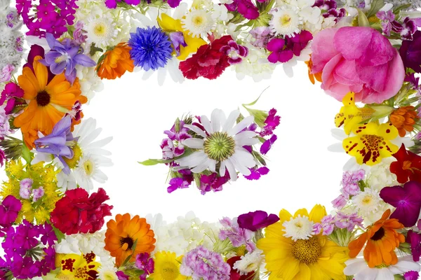 Floral picture pfoto frame — Zdjęcie stockowe