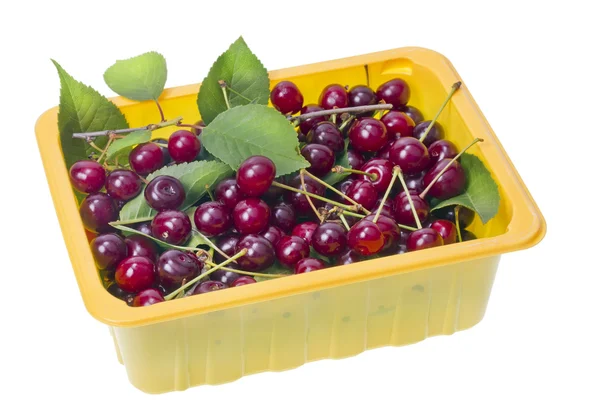 Indietro ciliegie rosse in contenitore — Foto Stock