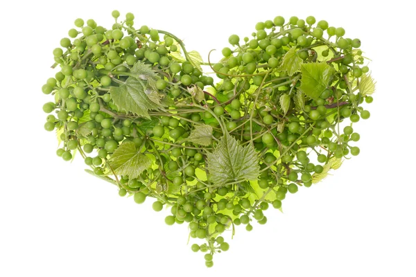 Zelené hrozny srdce — Stock fotografie