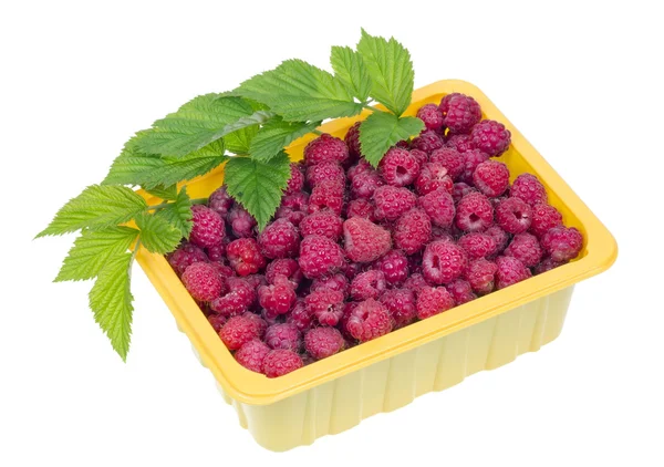Raspberries in a yellow plastic container — Stock Photo, Image