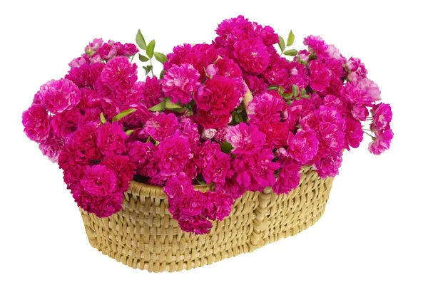 Grand panier avec un énorme bouquet de roses roses — Photo