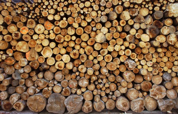 Grande mucchio di legna da ardere — Foto Stock