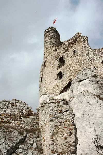 Разрушенный средневековый замок с башней в Мирове — стоковое фото