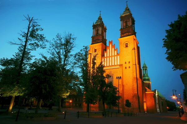 Archicathedral Basilica en Poznan por la noche —  Fotos de Stock