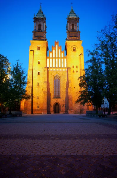 Cathédrale Basilique de Poznan la nuit — Photo