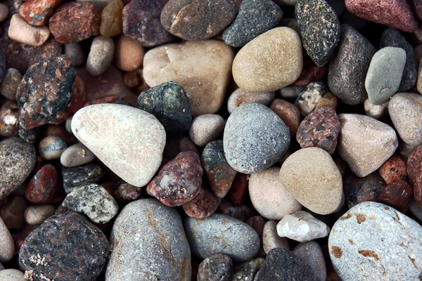 Pedras na praia, mar Báltico — Fotografia de Stock