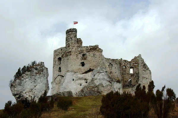 Castello medievale in rovina con torre a Mirow — Foto Stock