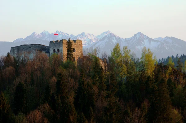 Замок в руинах и Карпатах — стоковое фото