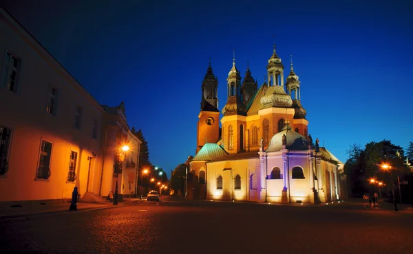 Archicathedral Basilica i Poznan om natten - Stock-foto