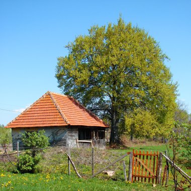 Rural landscape with fence clipart