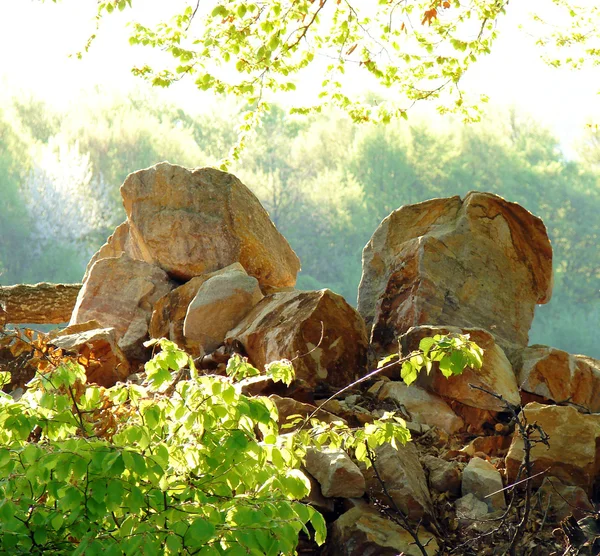 Пейзаж с камнями в лесу на закате — стоковое фото