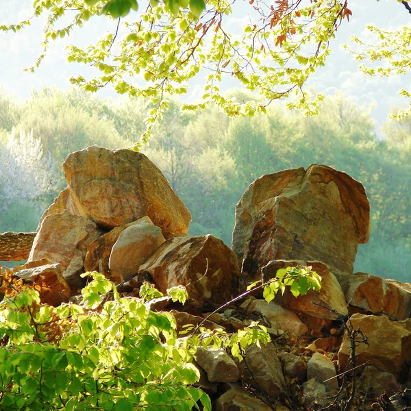 Τοπίο με βράχους στο δάσος στο ηλιοβασίλεμα — Φωτογραφία Αρχείου