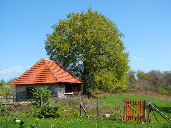 Rurale landschap met hek — Stockfoto