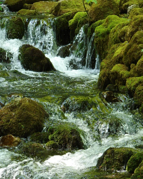在长满苔藓的岩石上的瀑布 — 图库照片