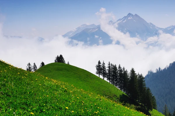 Sabah İsviçre dağlarında — Stok fotoğraf