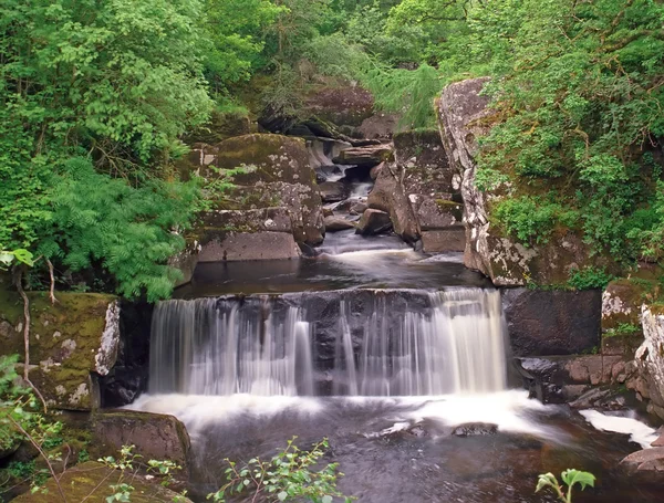 stock image Forest waterfall