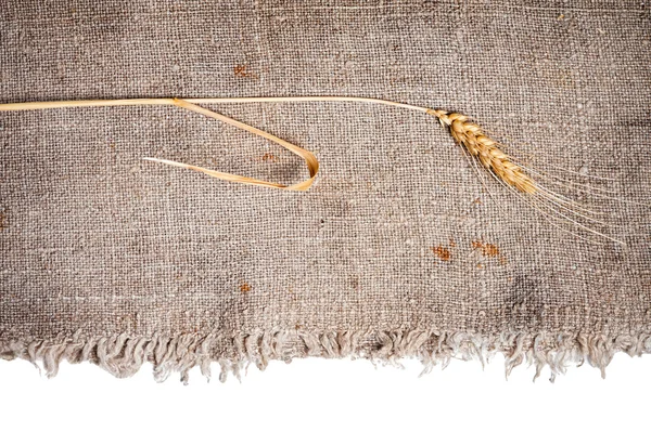 Pšenice a pytlovina tkaniny. samostatný — Stock fotografie