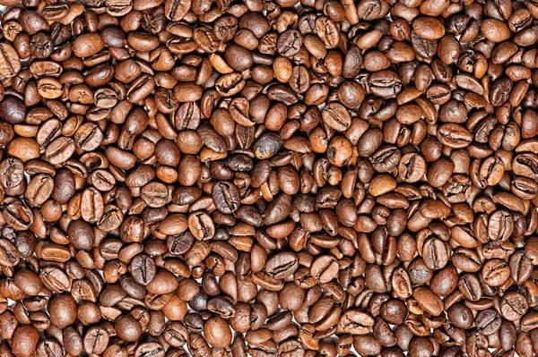 Grains de café gros plan — Photo