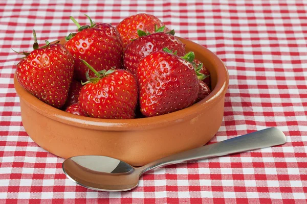 Maträtt av jordgubbar på rött gingham bordsduk — Stockfoto