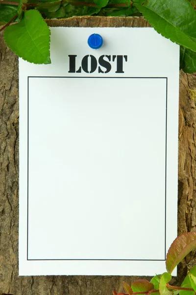 Lost Notice with copy space — Stock Photo, Image
