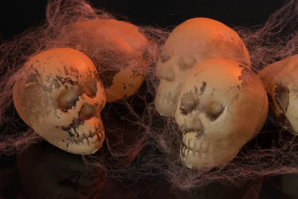 頭蓋骨とクモの巣 — ストック写真