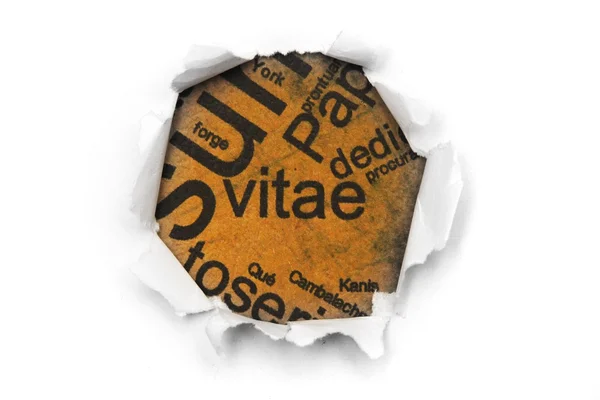 Vitae paper hole — Stock Photo, Image