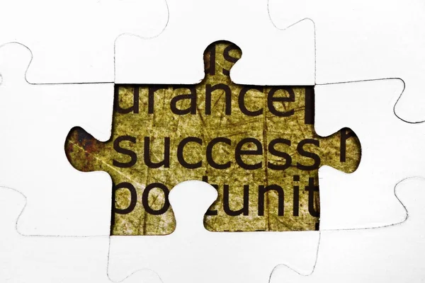 Success puzzle concept — Stock Photo, Image