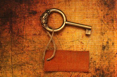 Old key and tag clipart