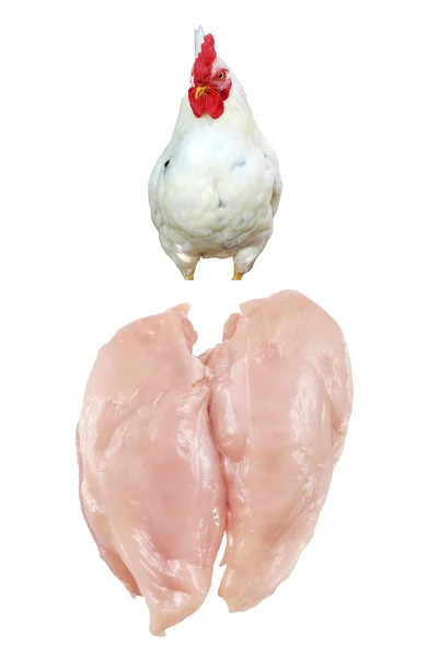 Pollo y carne de pollo (filete ) — Foto de Stock