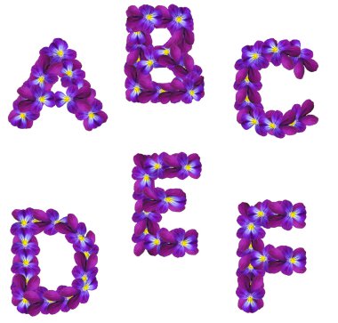 Letters from alphabet from violet flowers