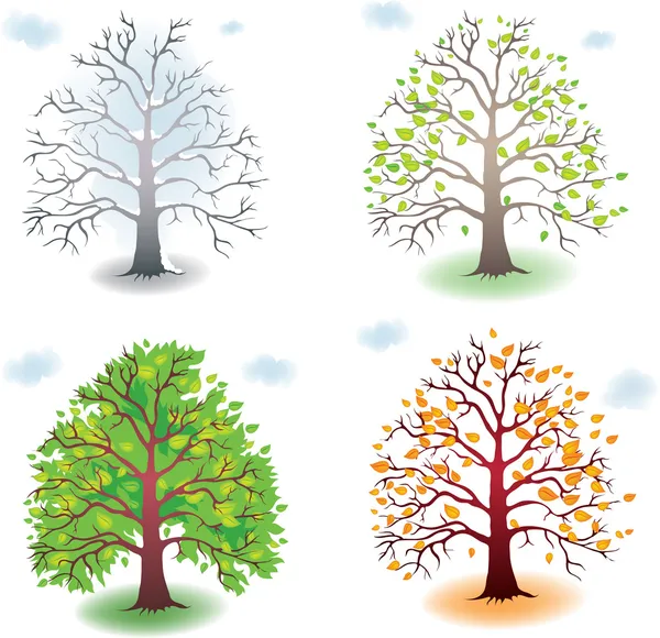 Baum in den Jahreszeiten — Stockvektor