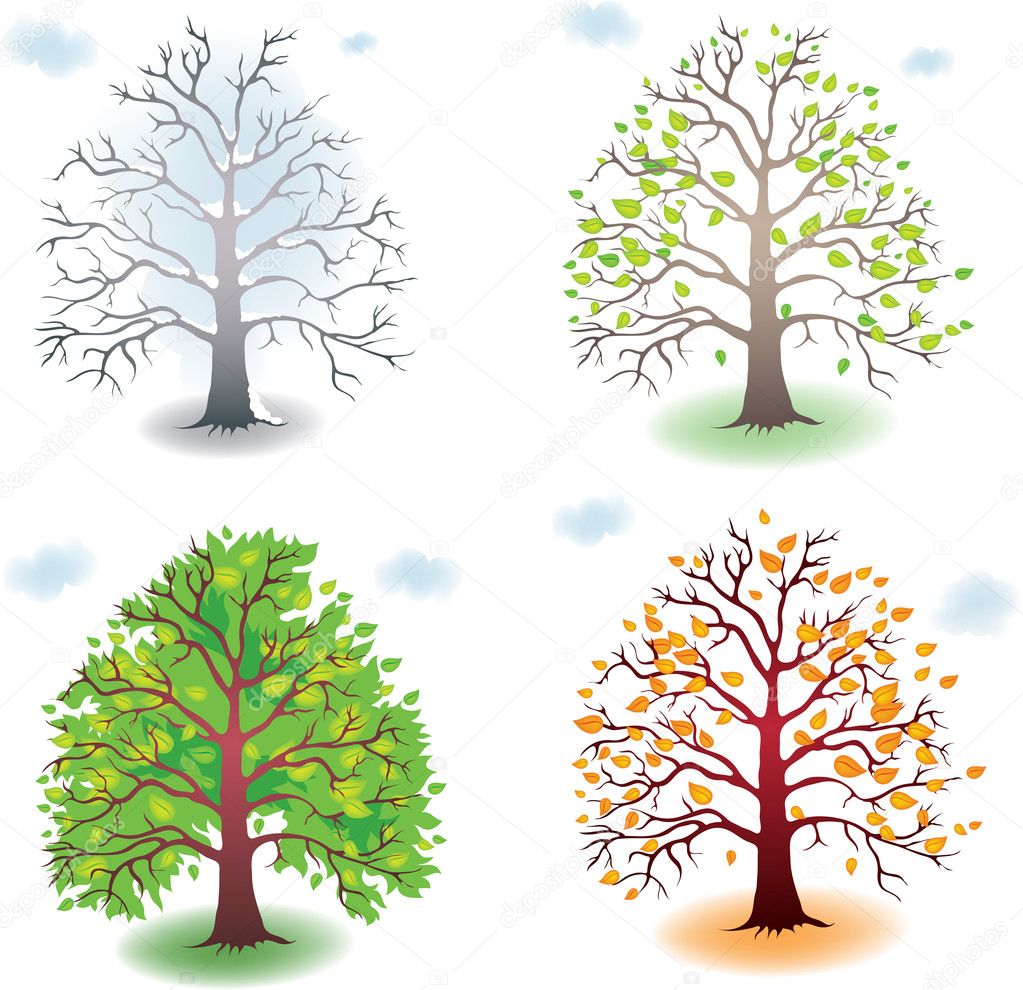 Tree in the seasons