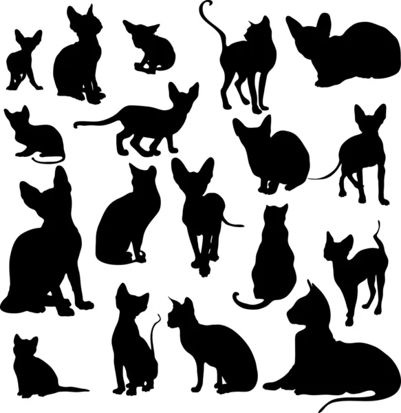 猫 silouettes — 图库矢量图片