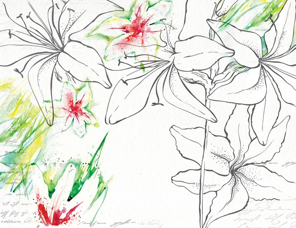 Ritning lily med akvarell och bläck — Stockfoto