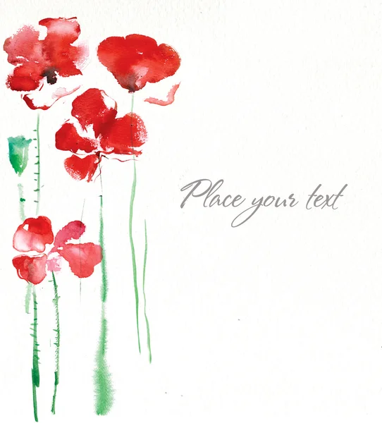 Drawing poppies — Stock Photo, Image
