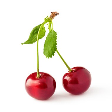 Cherries on white clipart