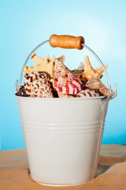 Bucket of Seashells clipart