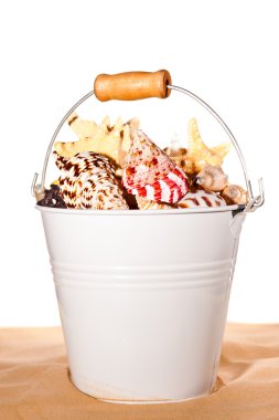 Bucket of Seashells clipart