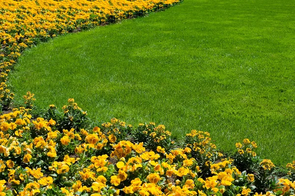 stock image Flowerbed and lawn