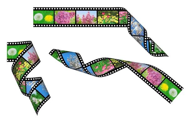 stock image Set of film strips