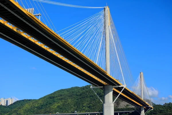 Ting Kau bridge — Stockfoto