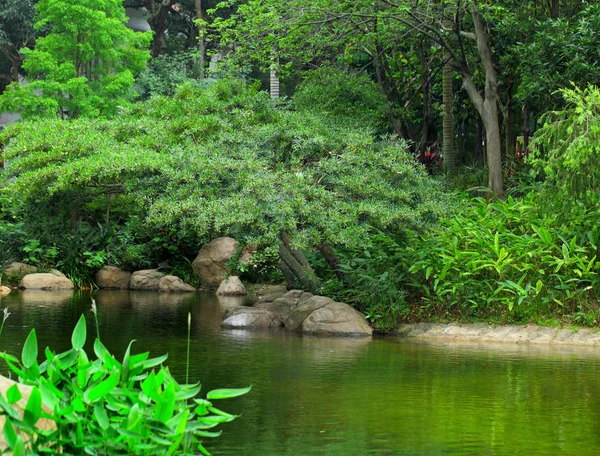 Parque con estanque — Foto de Stock