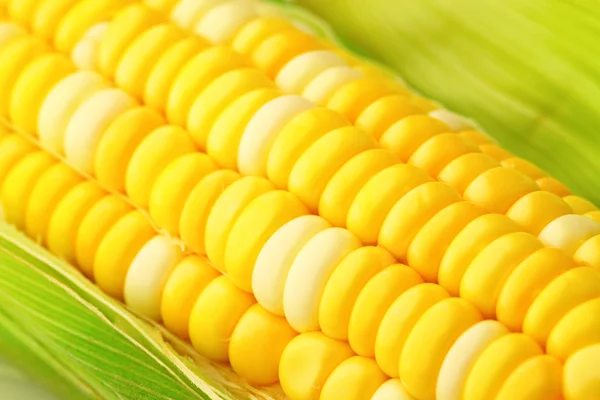 Corn cob with green leaves — Stock Photo, Image