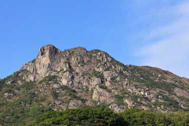 Aslan kaya hong Kong