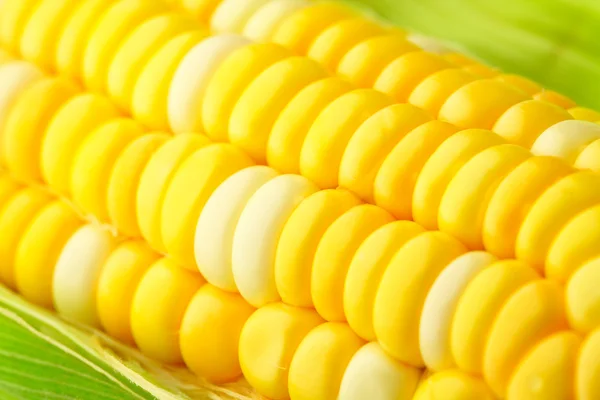 Mazorca de maíz con hojas verdes — Foto de Stock