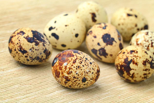 Quail Egg — Stock Photo, Image