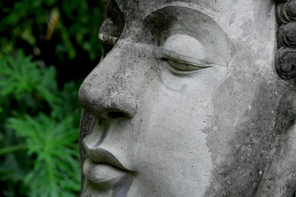 stock image Buddha close up