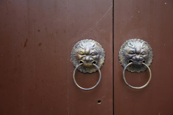 Aslan kapı kilidi — Stok fotoğraf