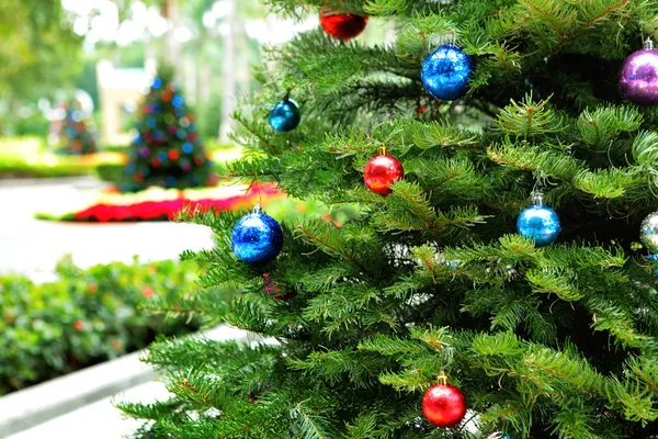 Vánoční strom v zahradě — Stock fotografie